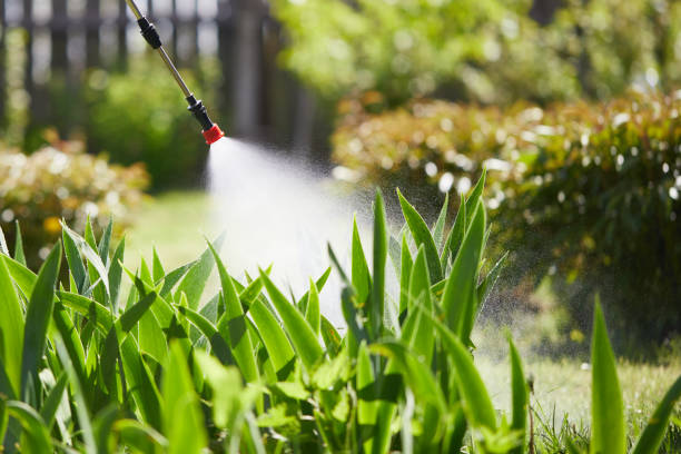 24/7 Emergency Termite Control experts in Duluth, WA