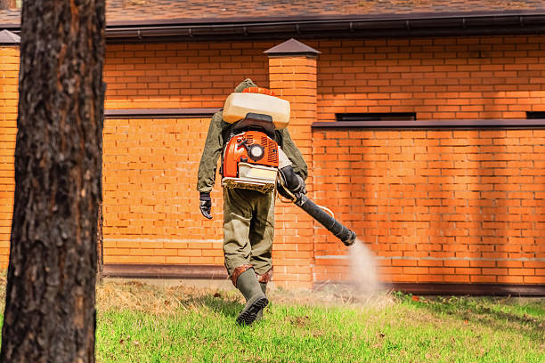 Trusted Rodent Control service in Duluth, WA - Nex Pest Control